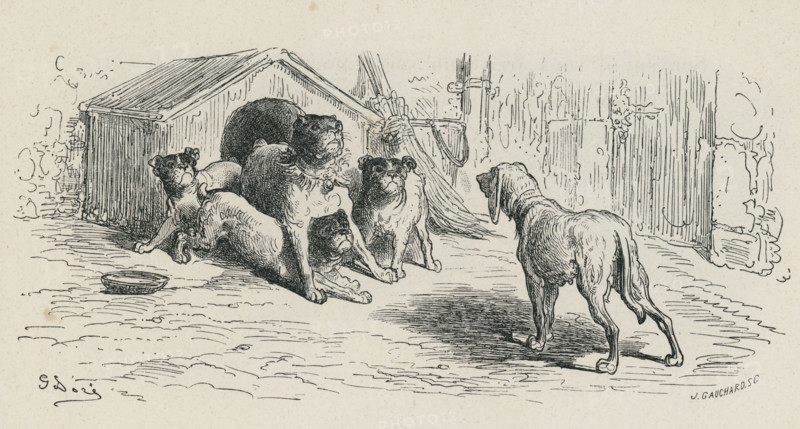 Fable "La Lice et sa compagne"