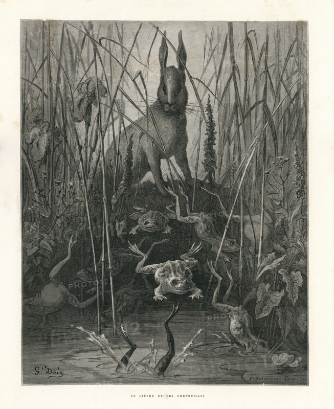 Fable "Le Lièvre et les grenouilles"