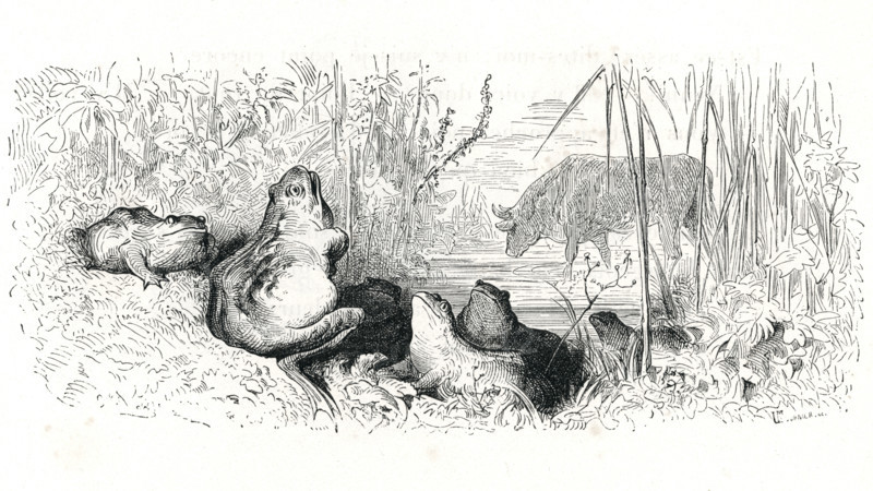 Fable "La Grenouille qui se veut faire aussi grosse que le boeuf"