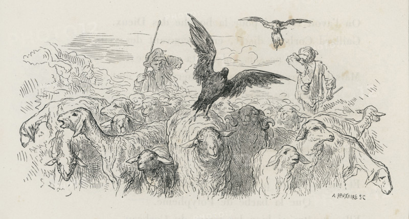 Fable "Le Corbeau voulant imiter l'aigle"