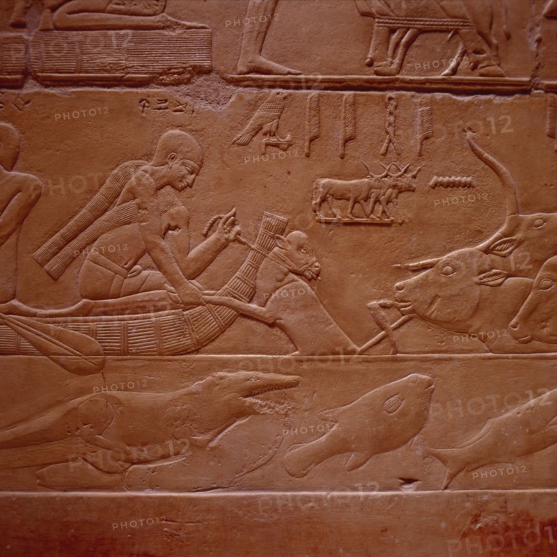Saqqarah, mastaba de Kagemni,  passage du gué