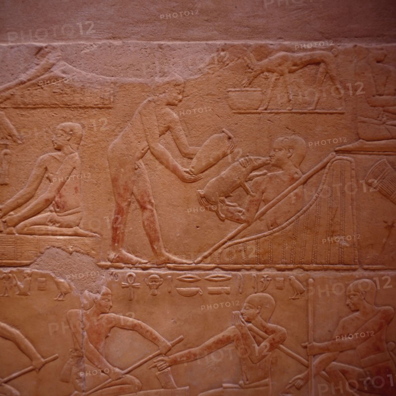 Saqqarah, mastaba de Kagemni, personnages avec petit cochon