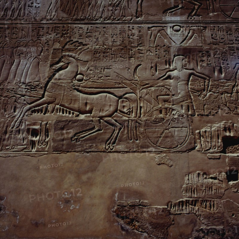 Karnak, Temple d’Amon-Rê, paroi extérieure nord de la salle hypostyle