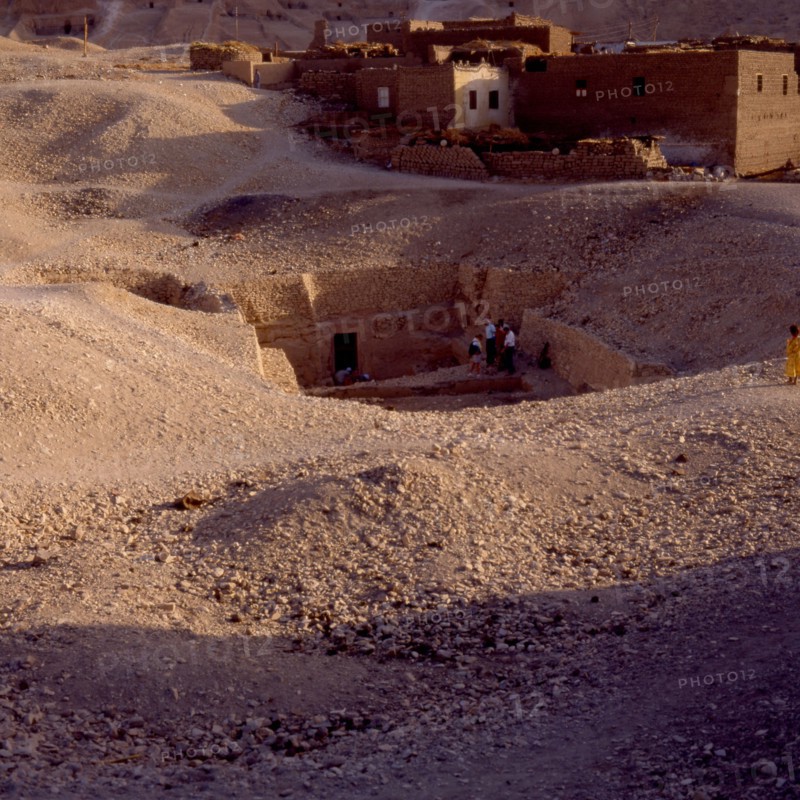 Tombes thébaines : Roy N°255