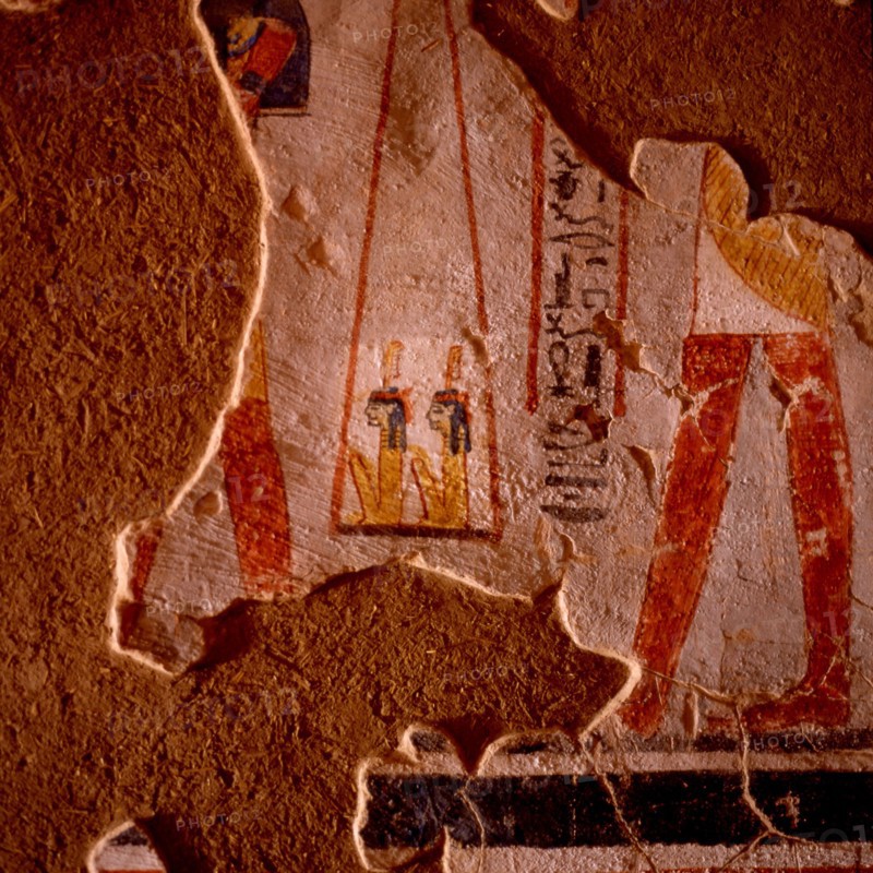 Tombes thébaines : Roy N°255