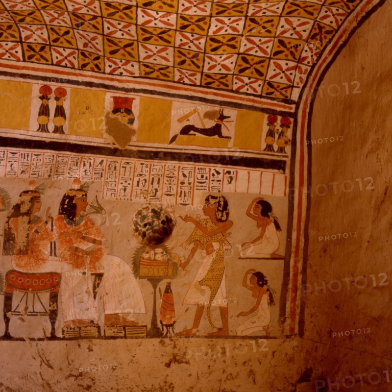 Tombes thébaines : Roy N°255