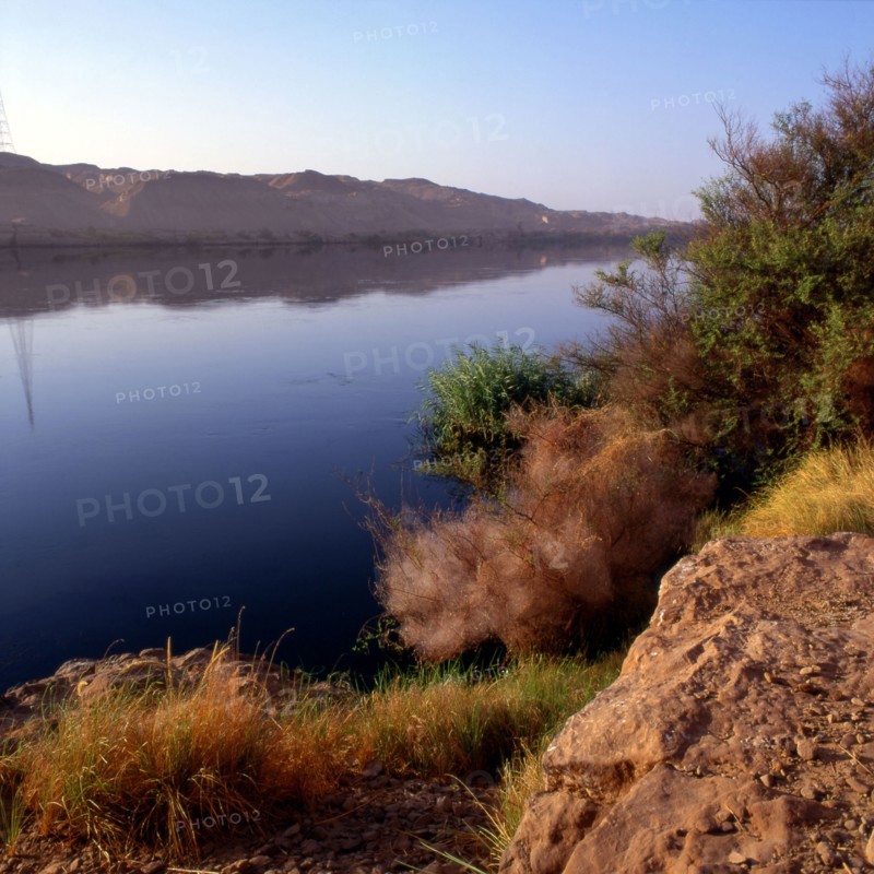 The Nile