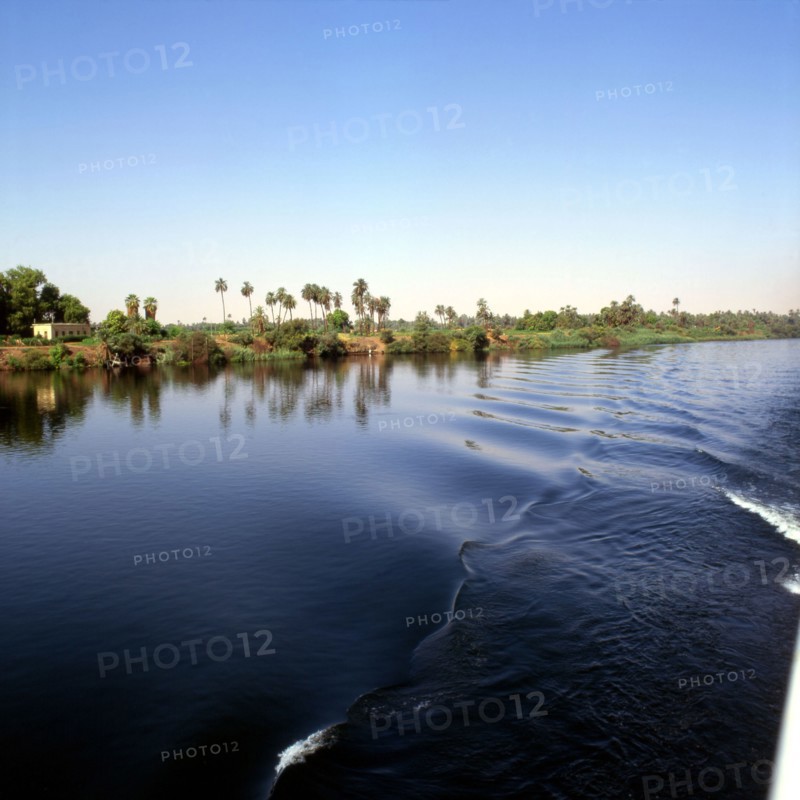 The Nile