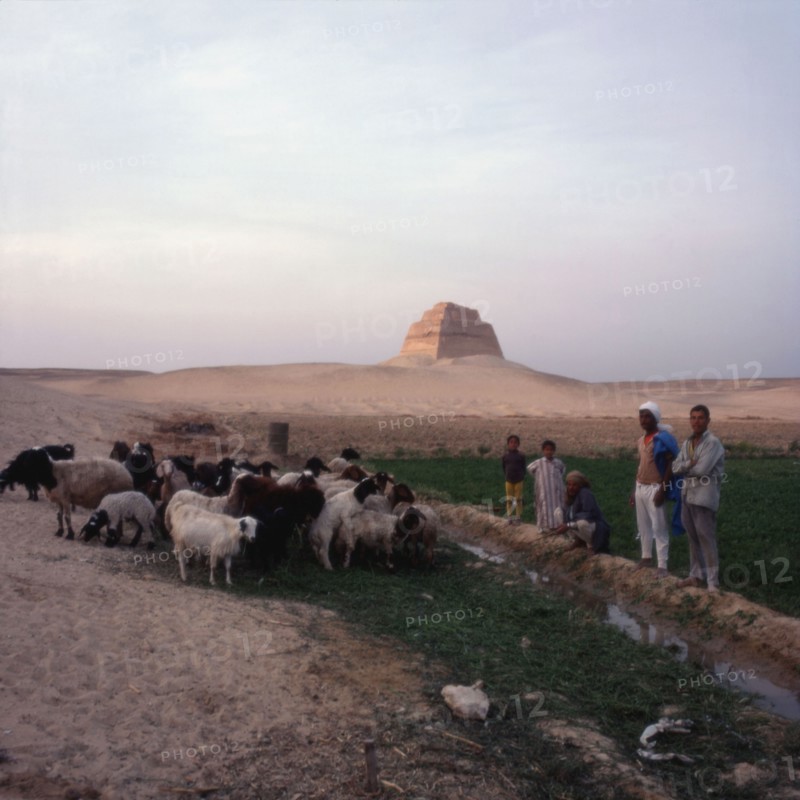 Herd of goats with goatherds