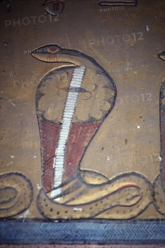 Valley of the Kings, Tomb of Ramses VI: Cobra
