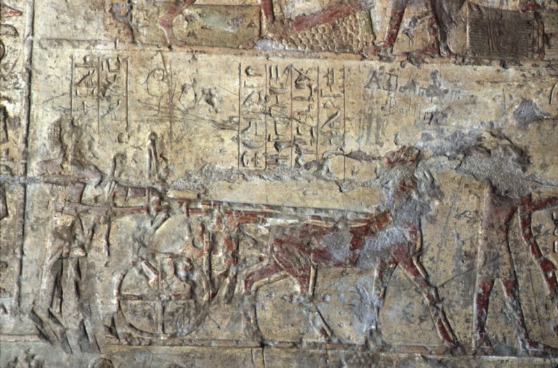 El Kab, Tombe de Pahéri, Conduite d'un char avec cheval
