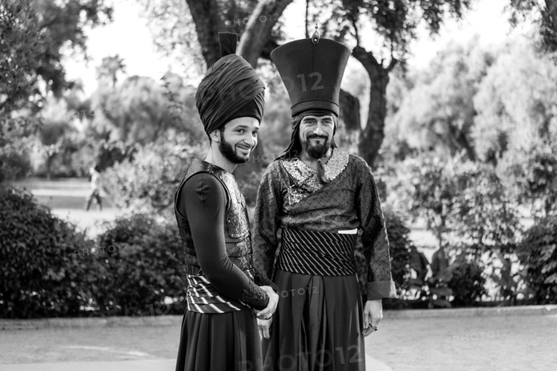 Les Nouvelles Aventures d'Aladin
