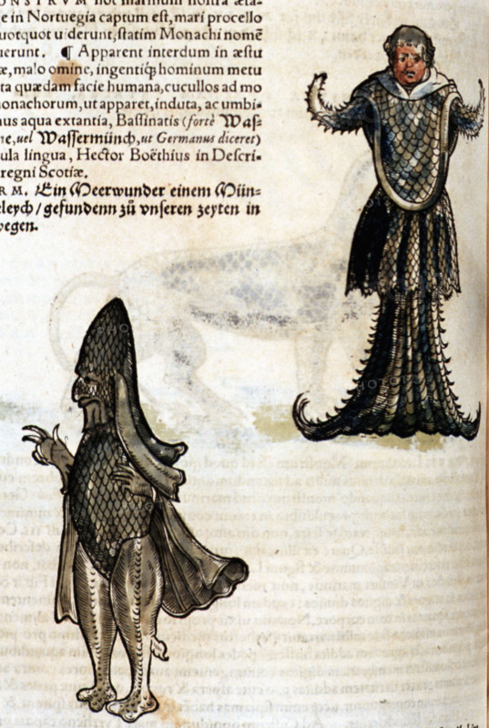 Conrad Gesner, Manuscrit "Historiae animalium", livre II : "Quadrupedipus oviparis"