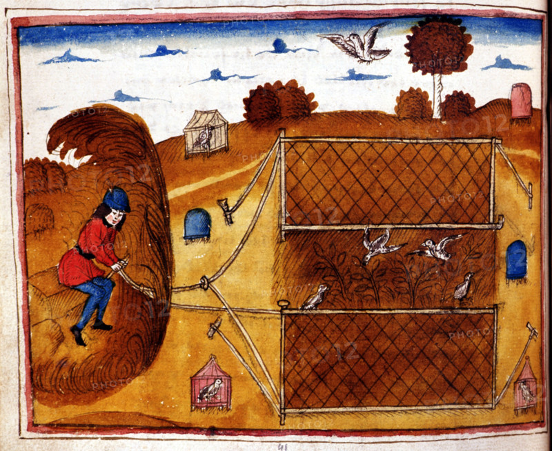 Manuscrit d'Henry de Ferrières, le livre du Roy Modus et de la Royne Ratio, scène de fauconnerie