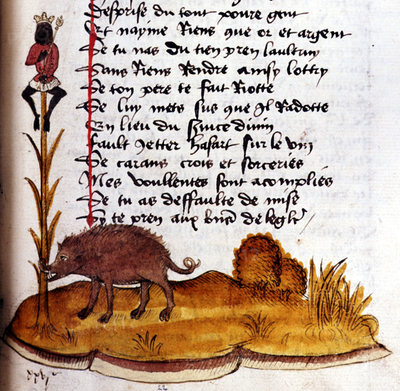 Manuscrit d'Henry de Ferrières, le livre du Roy Modus et de la Royne Ratio, sanglier