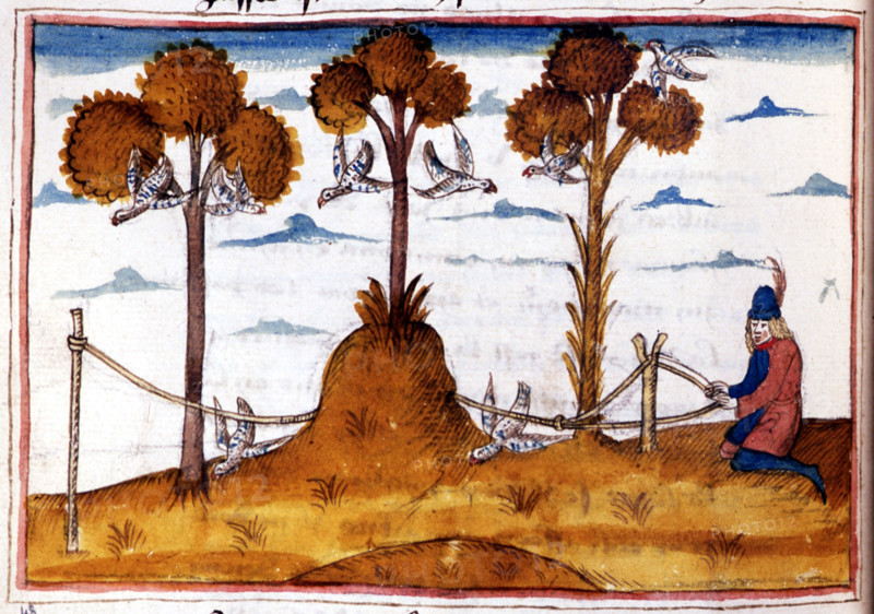 Manuscrit d'Henry de Ferrières, le livre du Roy Modus et de la Royne Ratio, scène de fauconnerie
