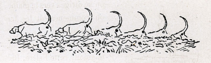 Jules Verne, "Dix heures en chasse", illustration