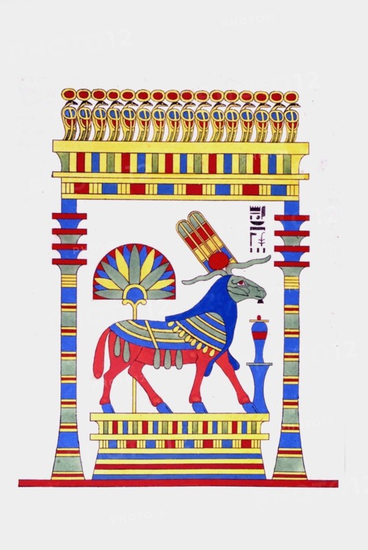 Le Bélier, emblème vivant d’Amon Ra