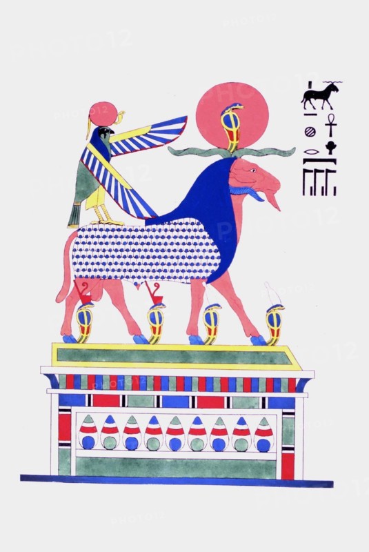 Amon Ra