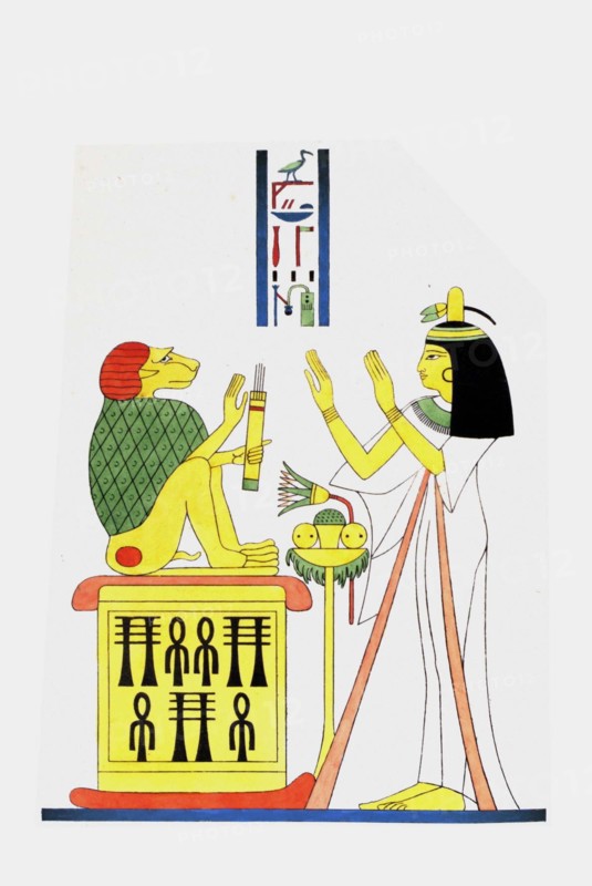 Le cynocéphale, emblème vivant de Thoth