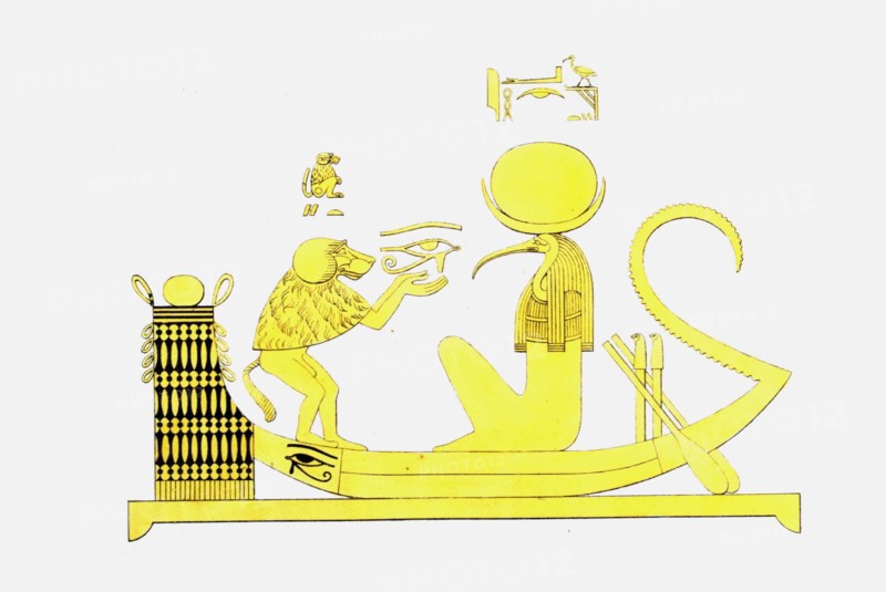 Le cynocéphale, emblème vivant de Thoth