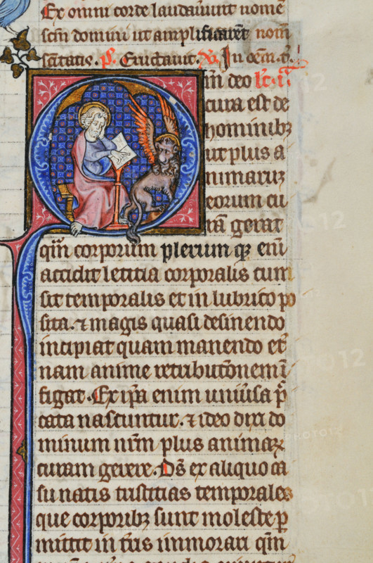 Saint Marc