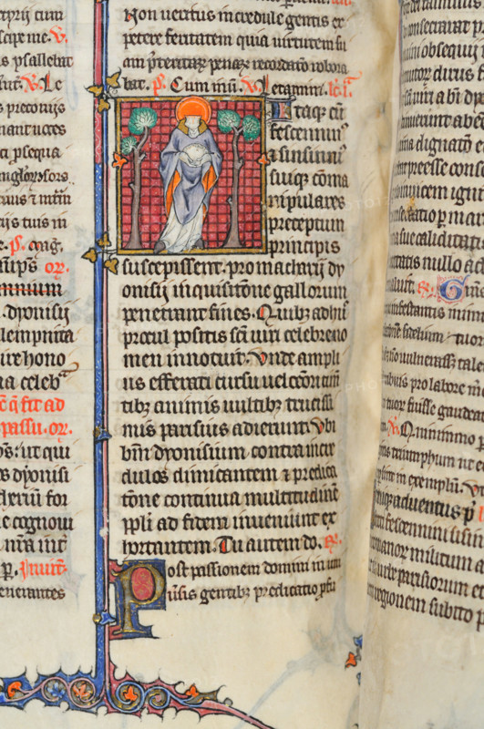 Saint Denis