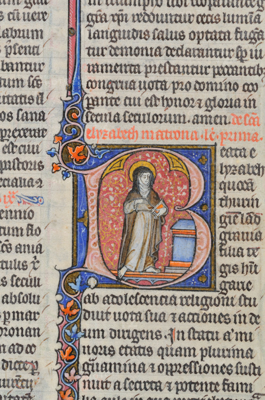 Sainte Elisabeth de Thuringe