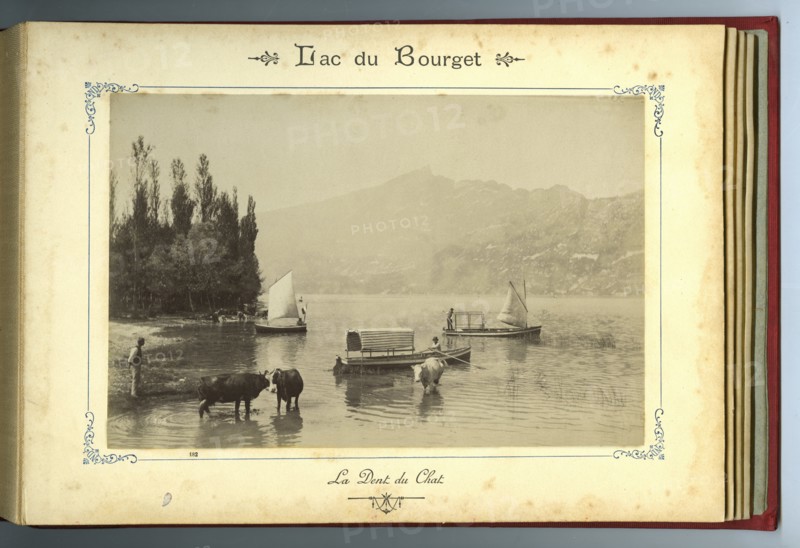 La Dent du Chat vue du Lac du Bourget