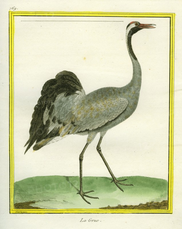 La Grue