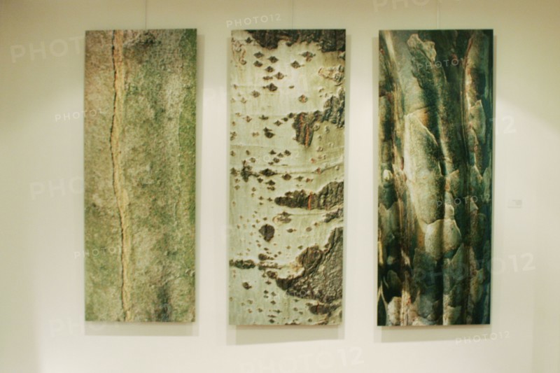Triptyque Assouan, photographies de Marc Fumaroli