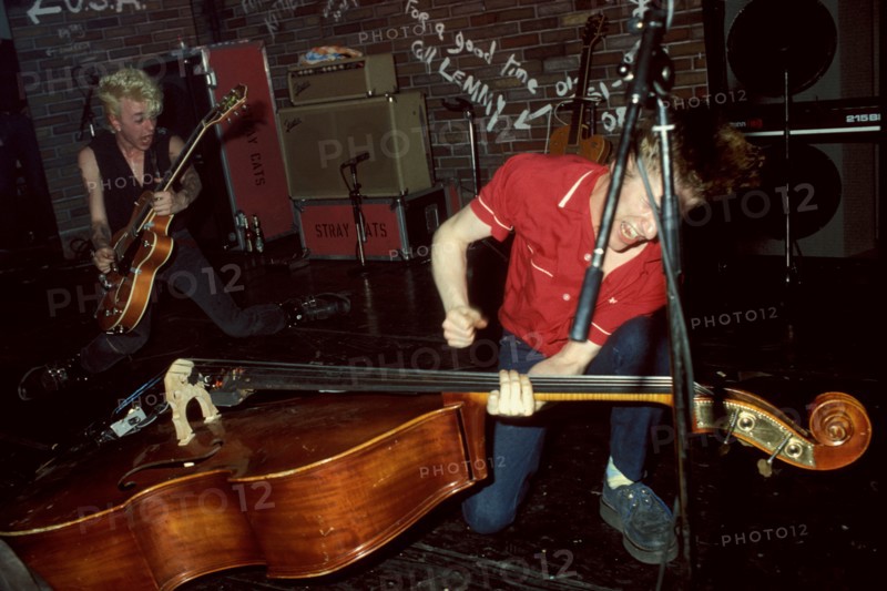 The Stray Cats, 1981