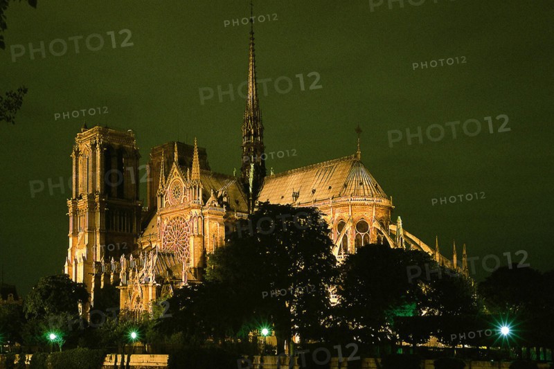Cathédrale Notre-Dame illuminée, Paris