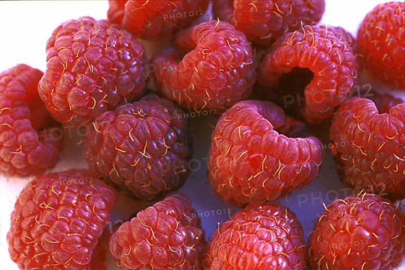 Framboises, gros plan