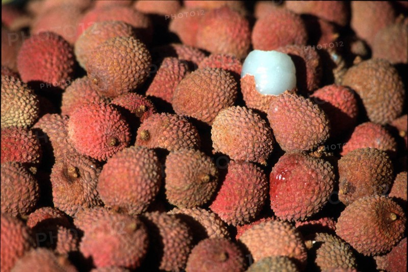 Litchis, gros plan