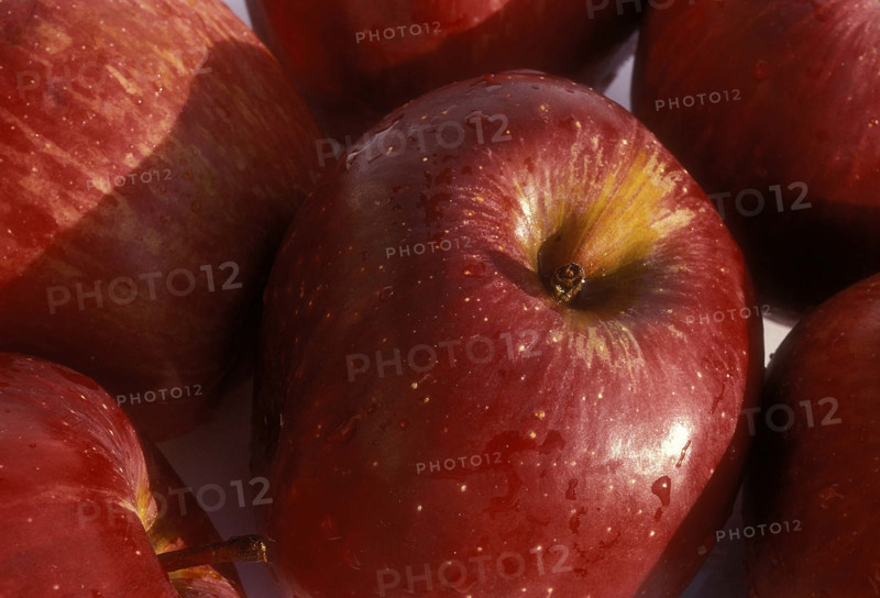 Pomme