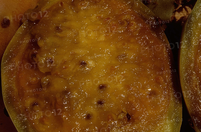 Fruit de la passion
