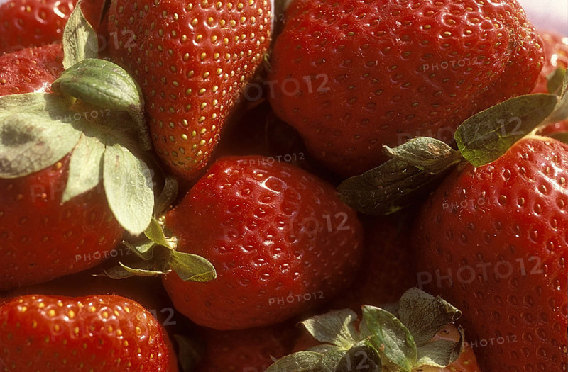 Fraises