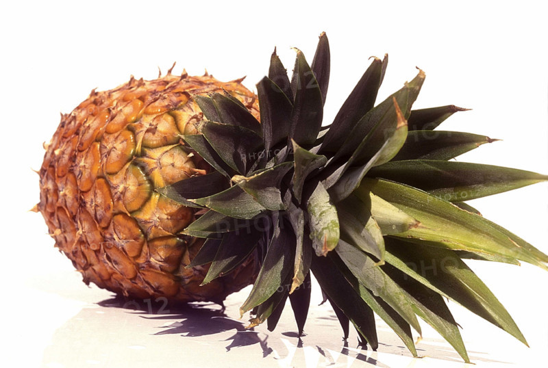 Ananas