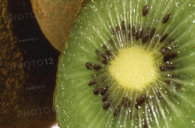 Kiwi