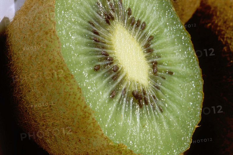 Kiwi