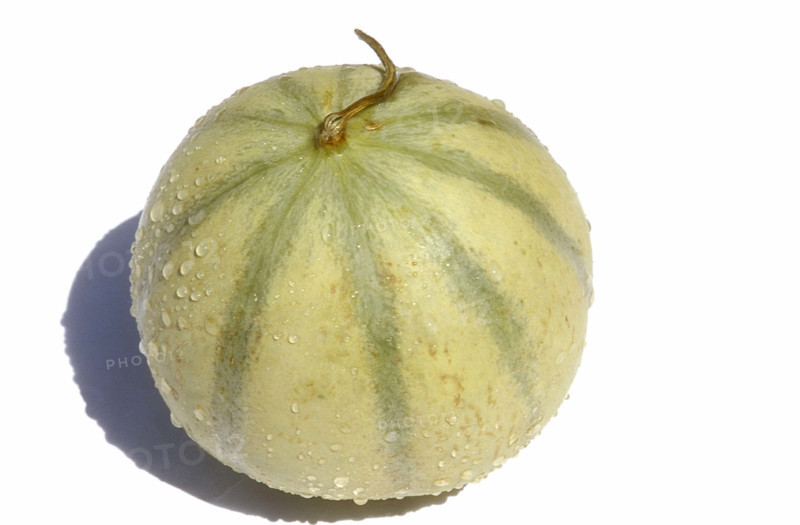 Melon