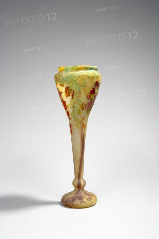 Vase Daum