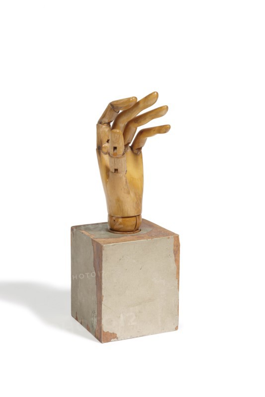 Siegel, "Main Articulée"