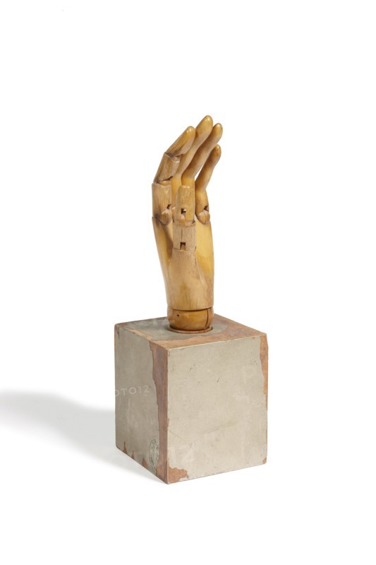 Siegel, "Main Articulée"