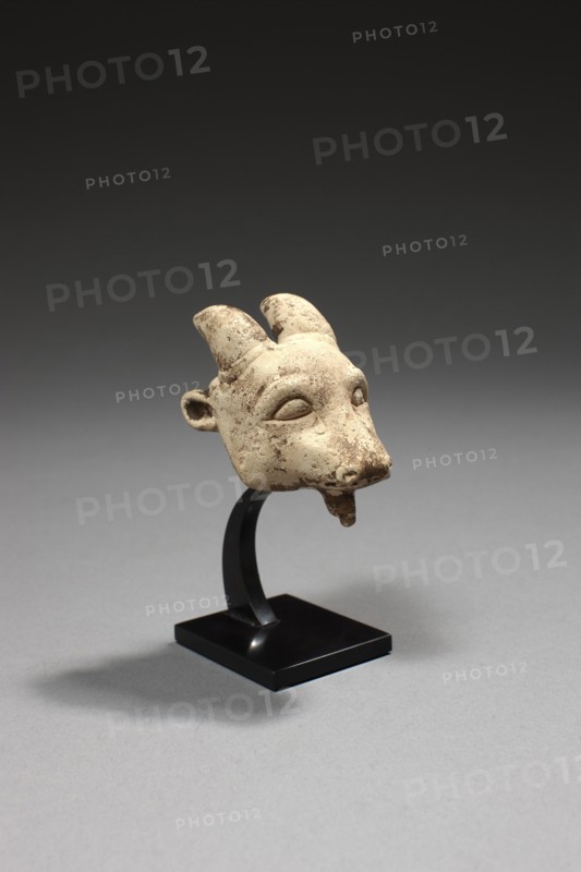 Egyptian head of an Ibex