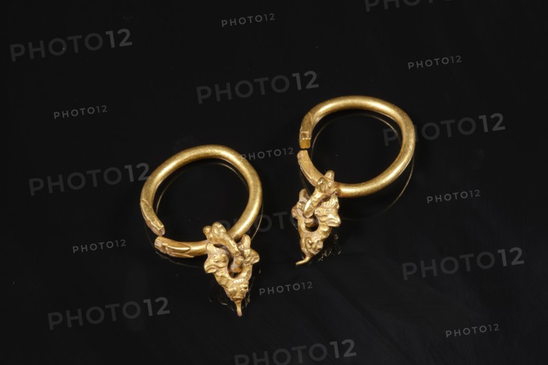 Achaemenid pair of gold earrings