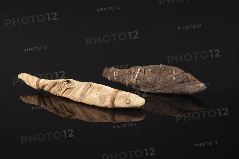 Egyptian fish mummies