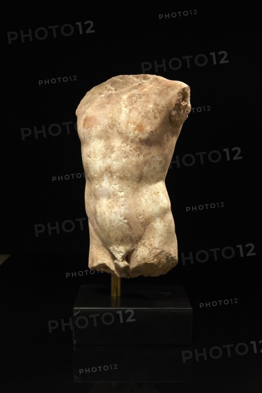 Torse masculin