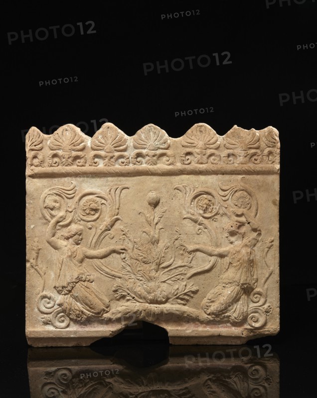 Plaque Campana